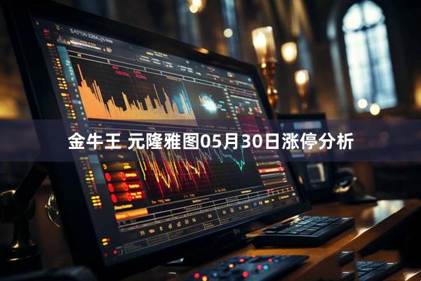 金牛王 元隆雅图05月30日涨停分析