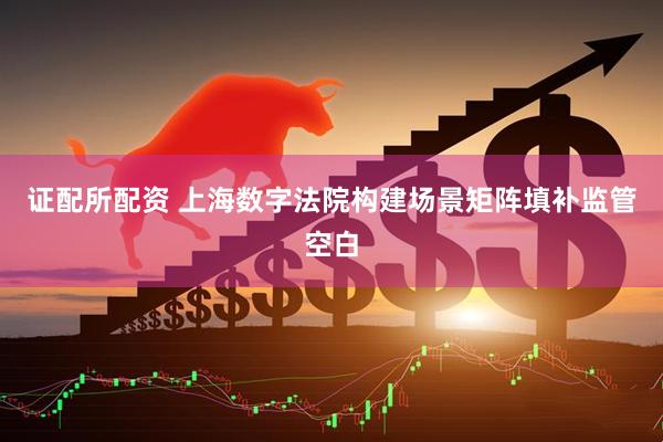 证配所配资 上海数字法院构建场景矩阵填补监管空白