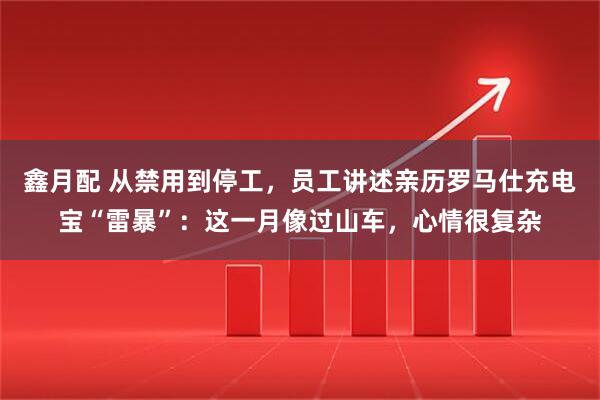 鑫月配 从禁用到停工，员工讲述亲历罗马仕充电宝“雷暴”：这一月像过山车，心情很复杂