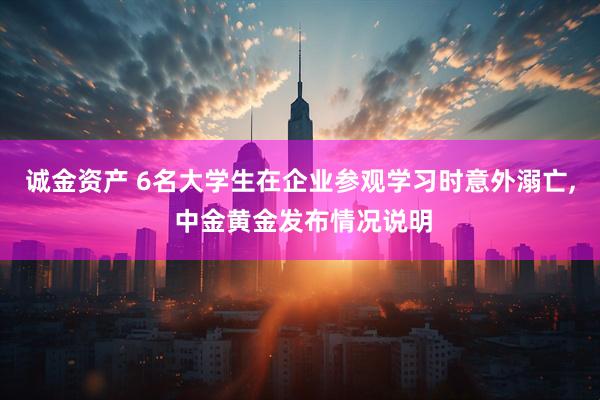 诚金资产 6名大学生在企业参观学习时意外溺亡, 中金黄金发布情况说明