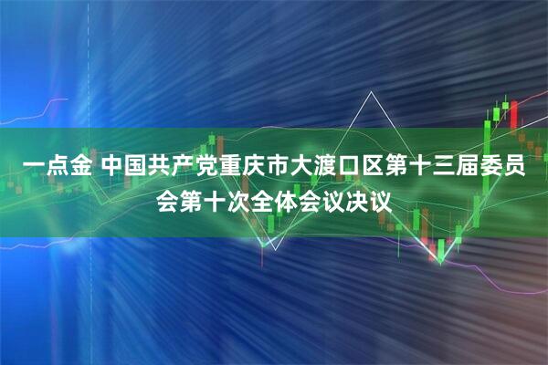 一点金 中国共产党重庆市大渡口区第十三届委员会第十次全体会议决议