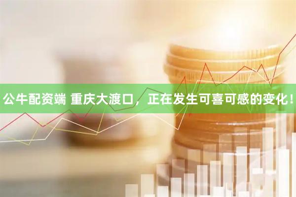 公牛配资端 重庆大渡口，正在发生可喜可感的变化！