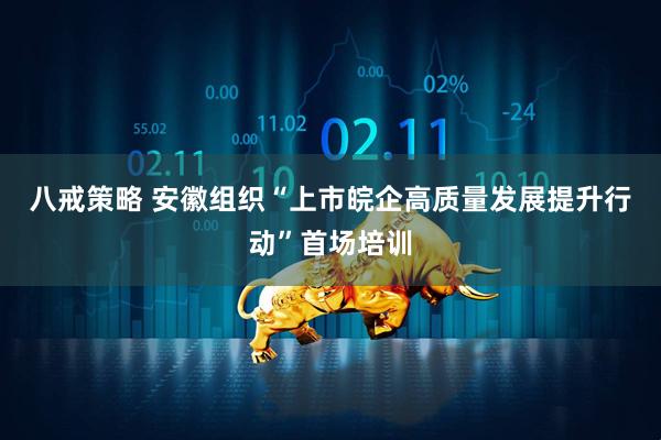 八戒策略 安徽组织“上市皖企高质量发展提升行动”首场培训