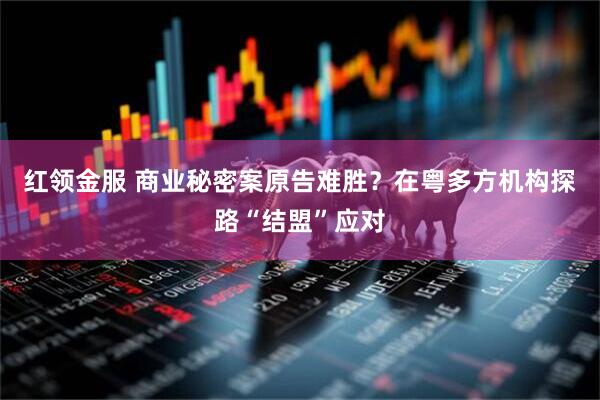 红领金服 商业秘密案原告难胜?在粤多方机构探路“结盟”应对